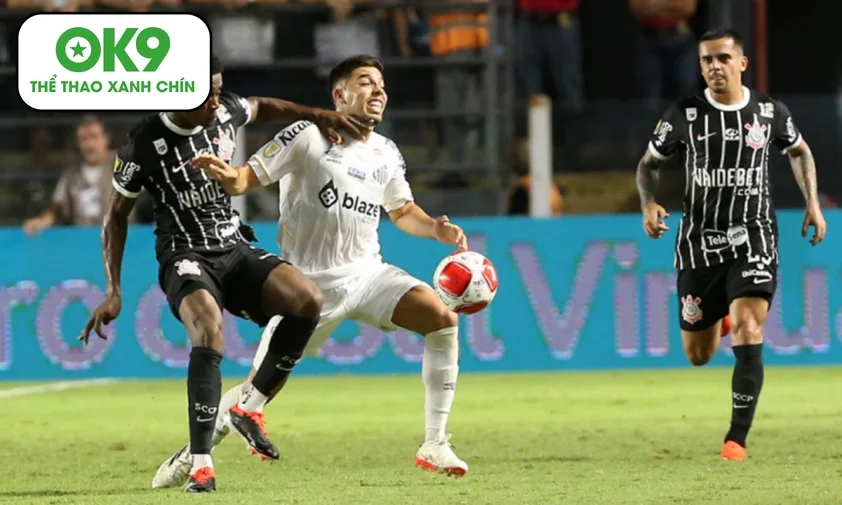 Santos vs Corinthians: Duy trì hưng phấn trên sân nhà Estádio Urbano Caldeira.