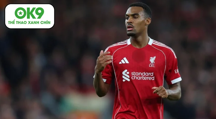 Liverpool đàm phán gia hạn hợp đồng Gravenberch đến 2031, củng cố hàng tiền vệ mạnh mẽ.